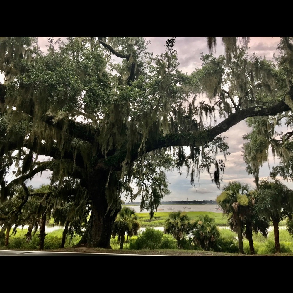 Meet your Posher, Sally